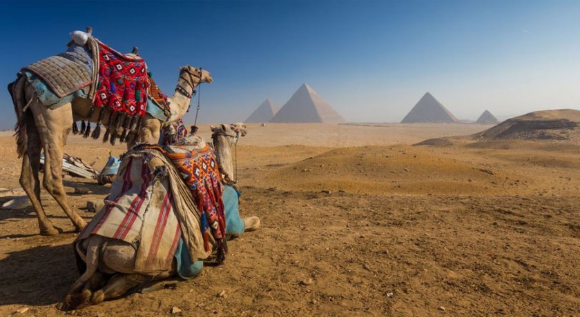 Dos días Tours en El Cairo y Alejandria