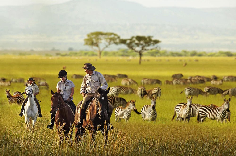 4 Days Wildlife Adventure