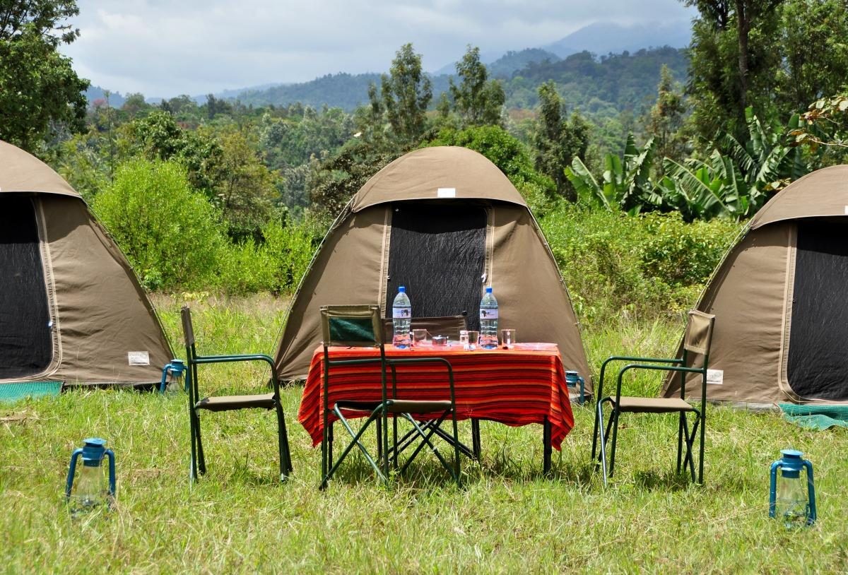 3 Days Lodge Safaris