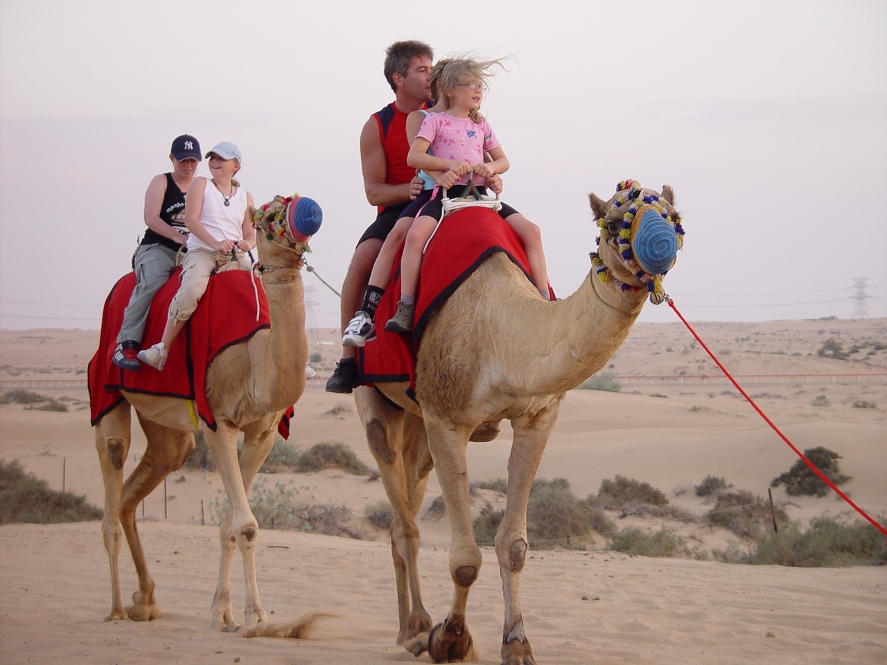 Super Quad Bike Tour from Marsa Alam