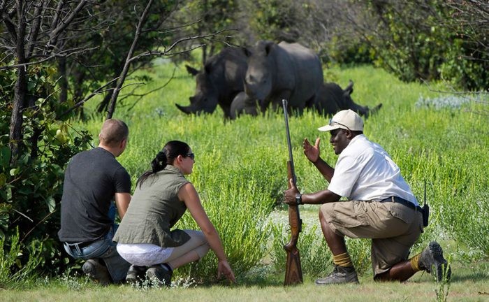 7 Days Wildlife Safari