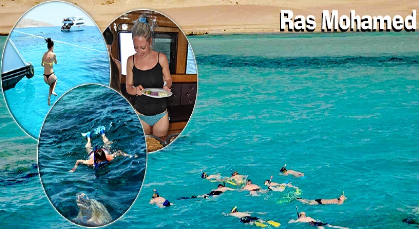 Viajes de Buceo a Sharm El Sheikh