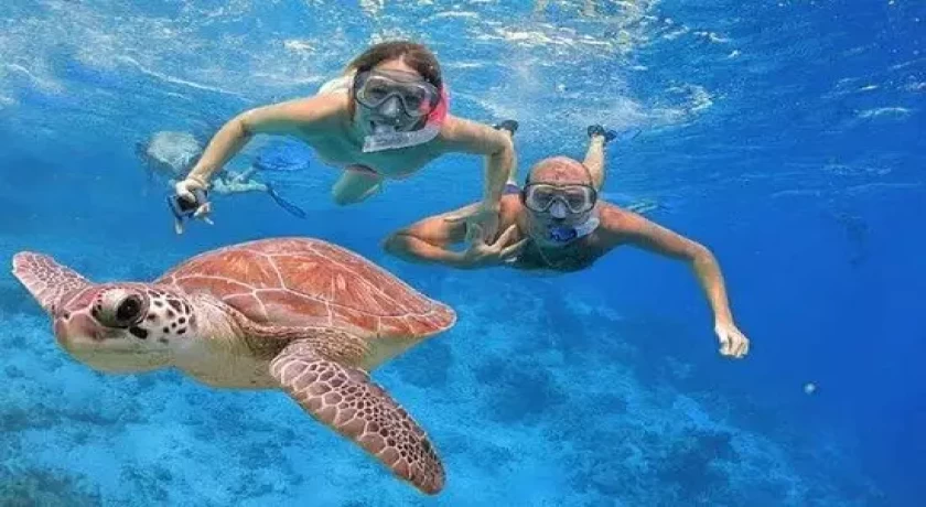 Easter 2026 Petra Tour from Sharm El Sheikh