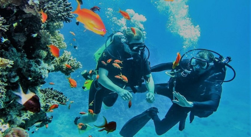 Tours Luna de Miel en El Cairo y Sharm El Sheikh