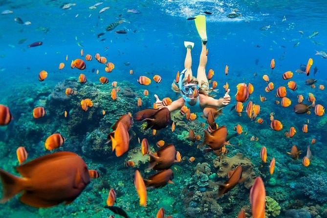 Excursiones de Esnórquel en Tres piscinas en Dahab