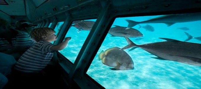 Glass Bottom Tours from Dahab
