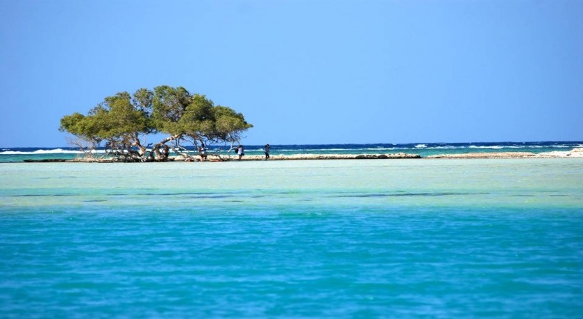 Passeio de barco por Ras Muhamed e Ilha Branca