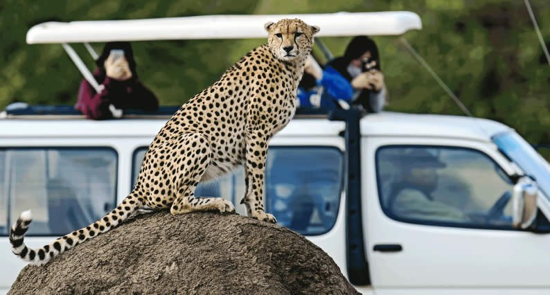 3 Days Lodge Safaris