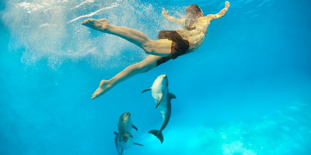 Dolphin House Tours in Marsa Alam