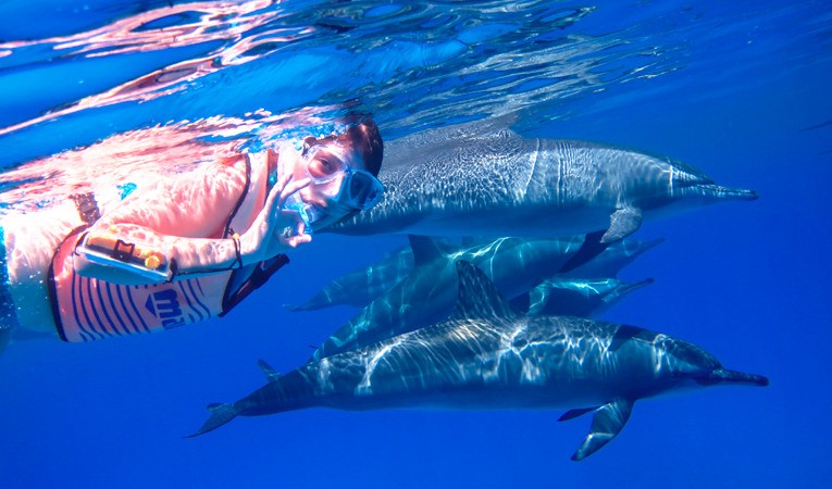 Snorkeling Trip At Satayh Dolphin Reef