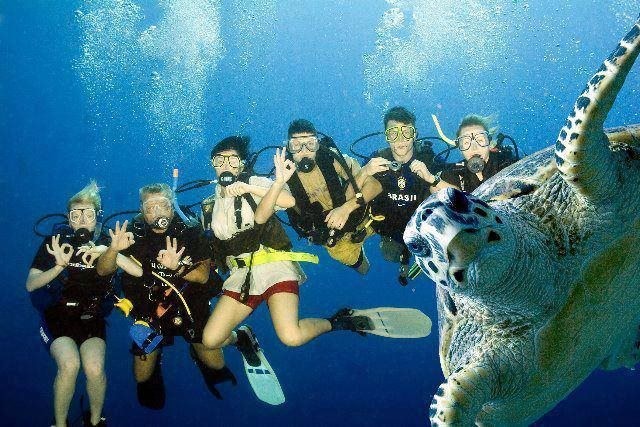 Snorkeling Tours in Taba