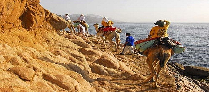 Abu Galum Safari Tours & Blue Hole Snorkeling in Dahab