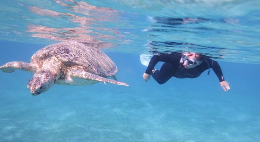 Viajes Marsa Alam y El Cairo Excursiones