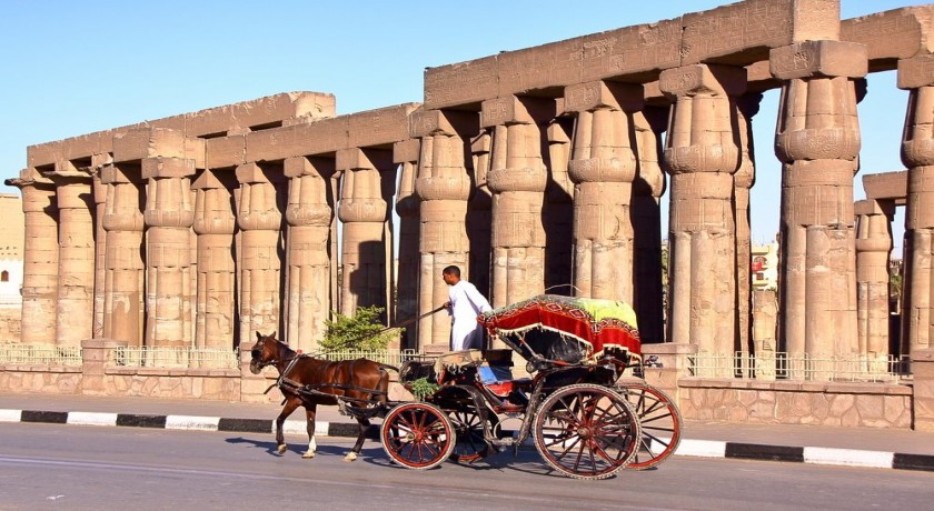 Passeios de Luxor em El Gouna