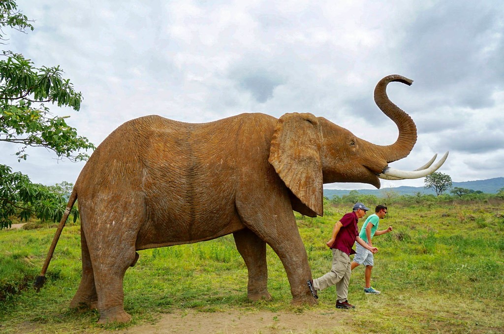 11 Days cultural and safari