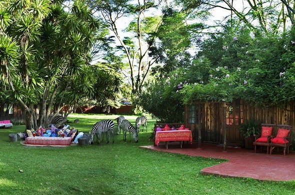 6 Days camping and lodge safari