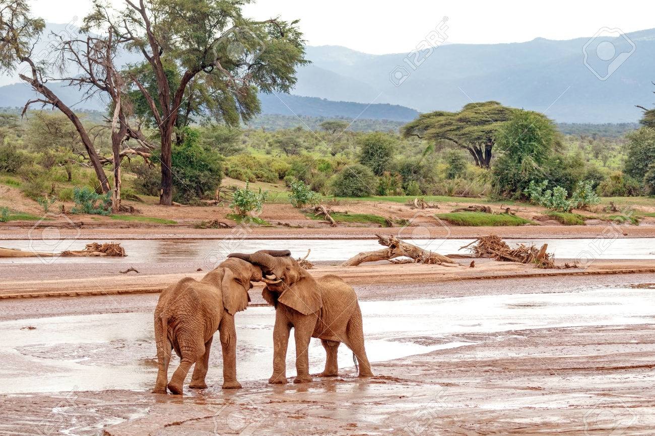 Safari Viajes en Kenia a Samburu y Masai Mara por Avión