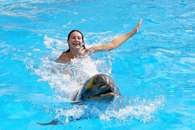 Excursiones para nadar con delfines en Sharm el Sheikh