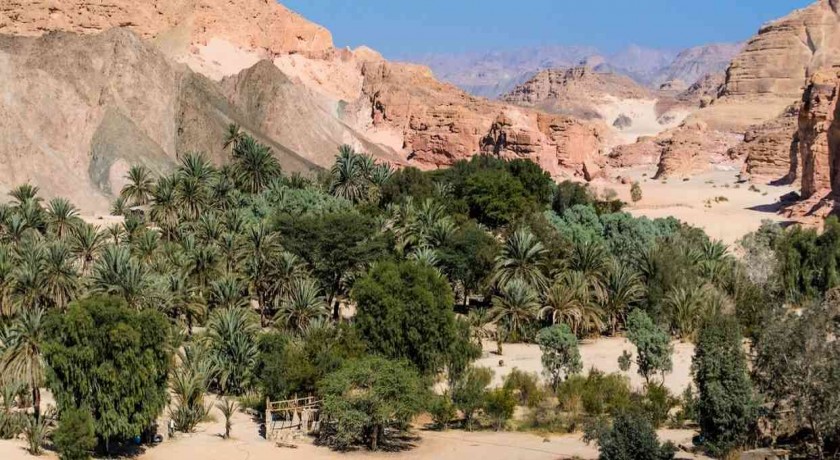 Safari no Deserto Tour de Luxor