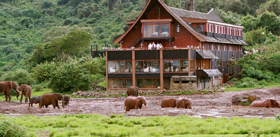 7 Days Wildlife Safari