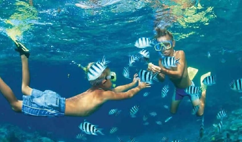 Excursión de esnórquel en la isla de Hamata , Marsa Alam