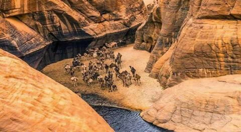 Wadi El Gemal Tours em Marsa Alam