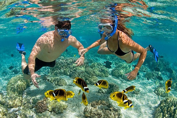 Excursiones de Esnórquel en Tres piscinas en Dahab