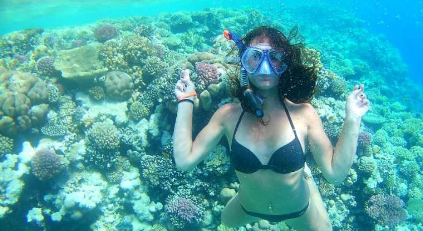 Viagem de mergulho com snorkel na Ilha Orange