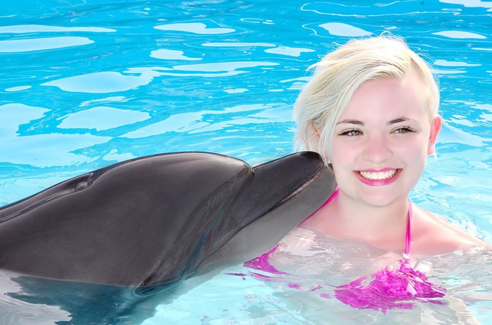 Tours El Espectàculo de Delfines en Sharm El Sheikh