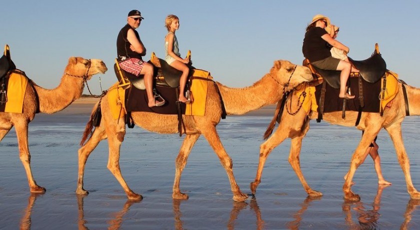 Safari Tours en Dahab del Puerto de Sharm El Sheikh