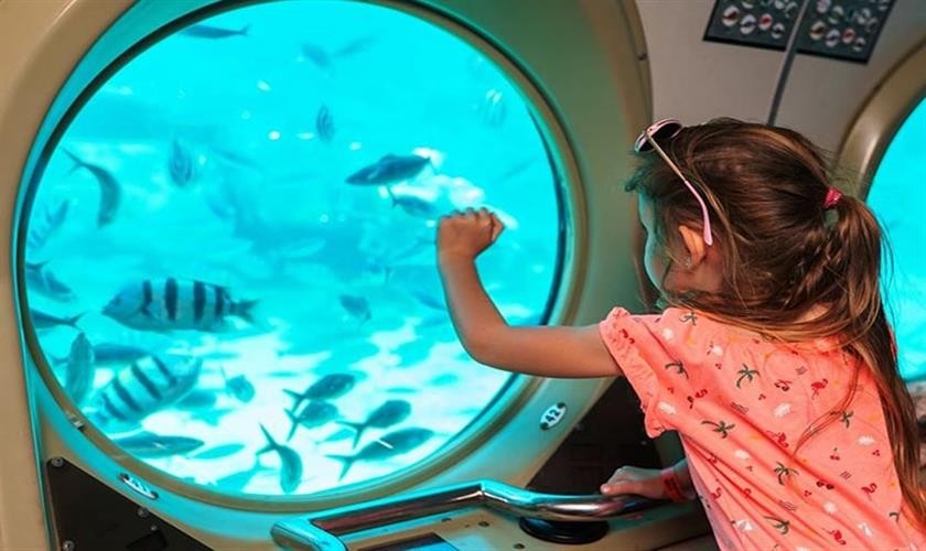 Excursión Barco de Cristal en Hurghada