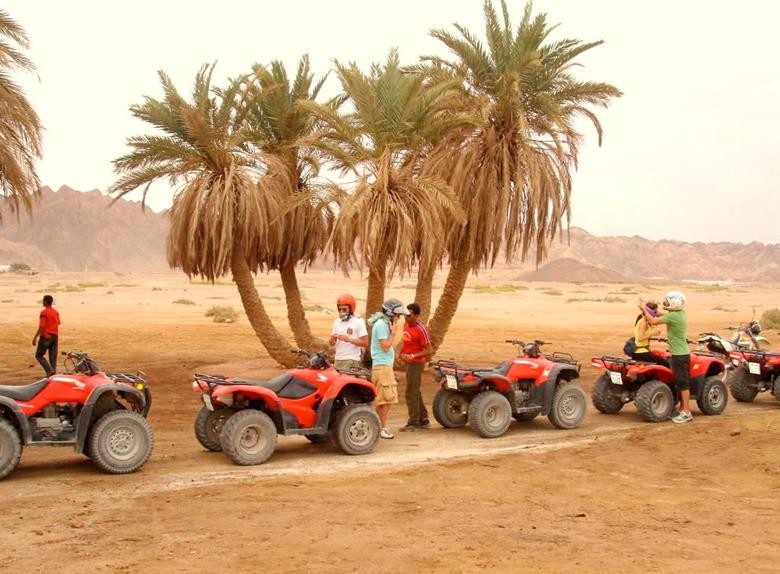 Desert Safari in Egypt from Luxor