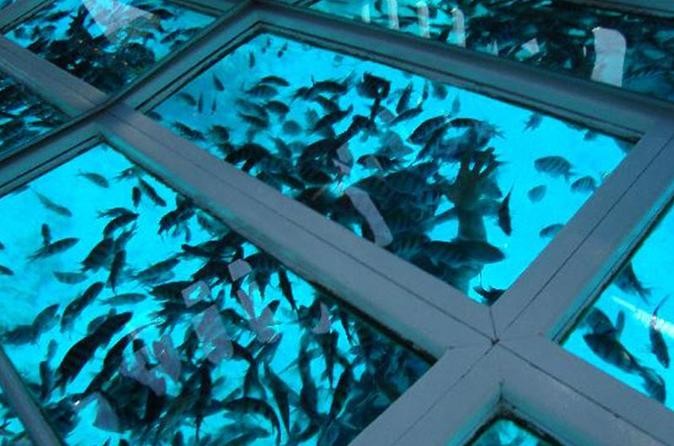 Glass Bottom boat Tours in Sharm El Sheikh