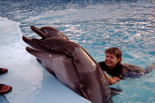 Dolphin Show Tours in Sharm El Sheikh