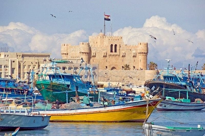 Alexandria Day Excursion