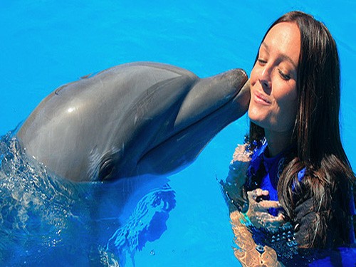 Tours El Espectàculo de Delfines en Sharm El Sheikh