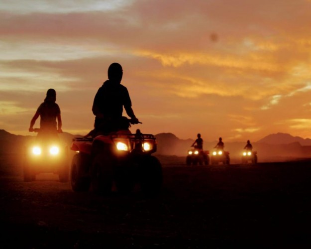 Melhores passeios de safári em Dahab