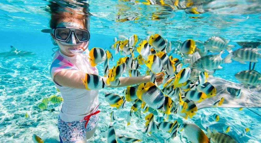 Tours Ras Mohamed del Puerto de Sharm El Sheikh