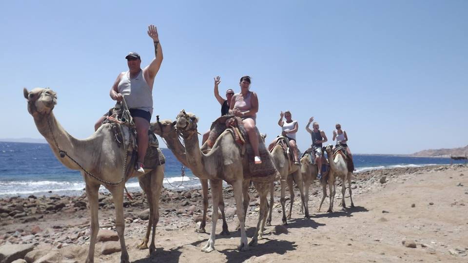 Safaris en Abu Galum desde Sharm El Sheikh