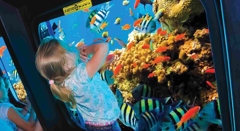 Tour a semi-submarine en sharm el sheikh