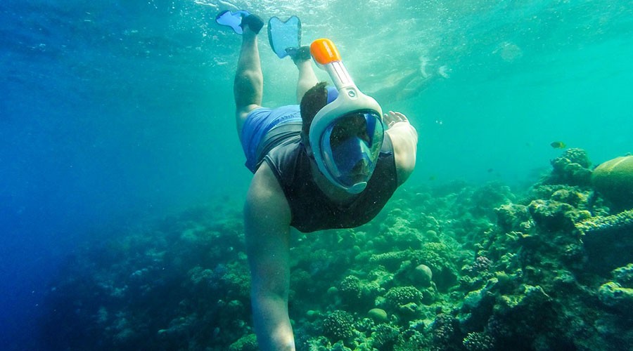 Orange Island Snorkeling Tours in El Gouna