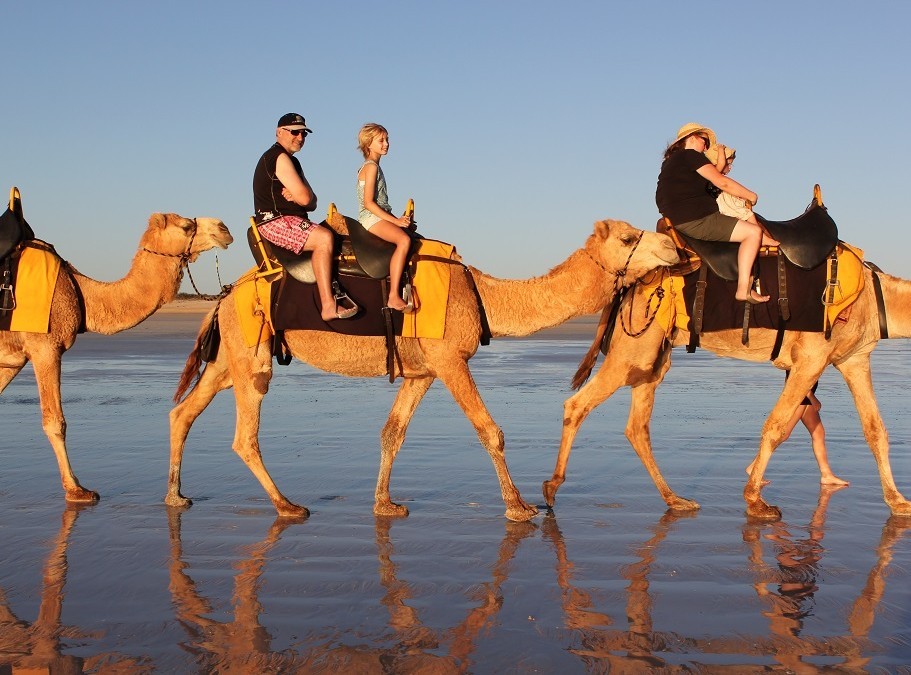 Safaris en Abu Galum desde Sharm El Sheikh