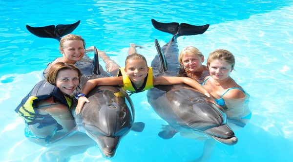 Excursiones para nadar con delfines en Sharm el Sheikh