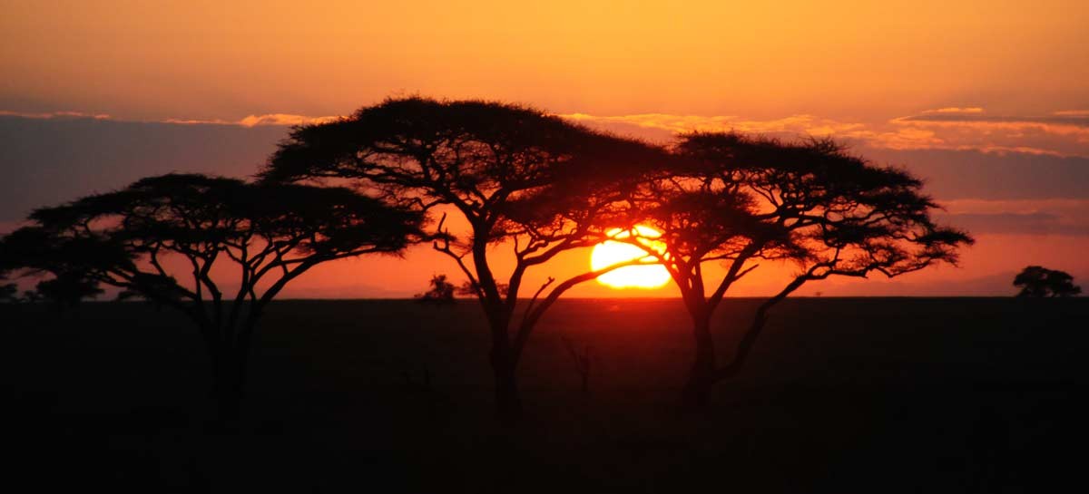 Lago Manyaray y Ngorongoro Crater en Tanzania