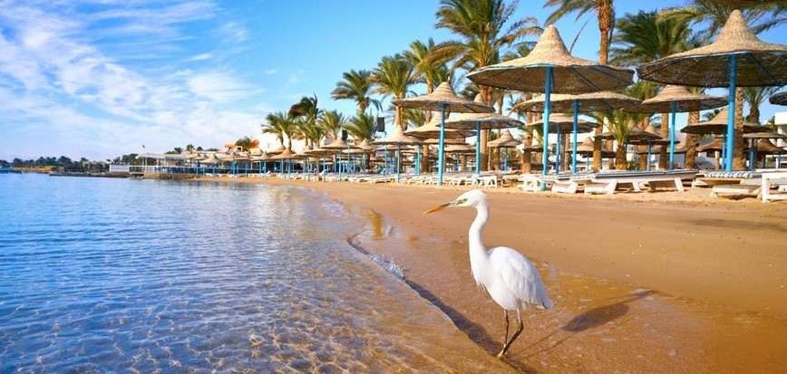 Cairo, Nile Cruise and Hurghada Tours