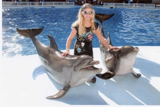 Excursiones para nadar con delfines en Sharm el Sheikh