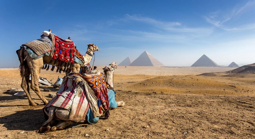 Safari Honeymoon Tours no Egito