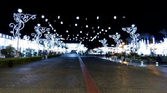 THE TOP Sharm el Sheikh City Tours