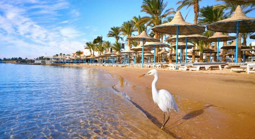 Viajes El Cairo, Crucero Nilo y Hurghada