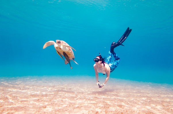 Excursión de esnórquel en Abu Dabab en Marsa Alam